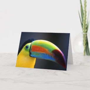 Toucan-Greeting card