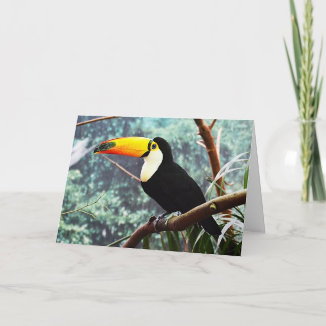 Toucan Holiday Card (Front)