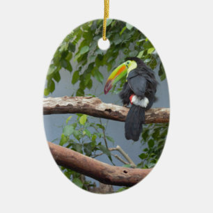 Toucan in a Tree Ceramic Tree Decoration