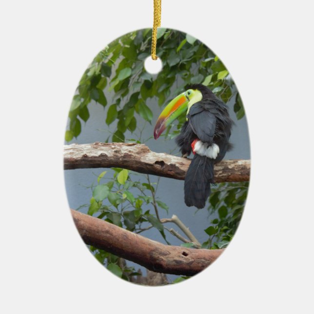 Toucan in a Tree Ceramic Tree Decoration (Front)