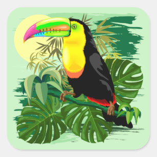 Toucan in Green Amazonia Rainforest Square Sticker