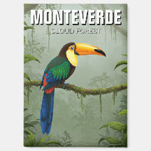 Toucan in Monteverde Cloud Forest Costa Rica