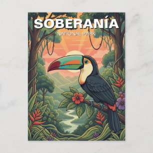 Toucan in Soberania National Park Panama Postcard