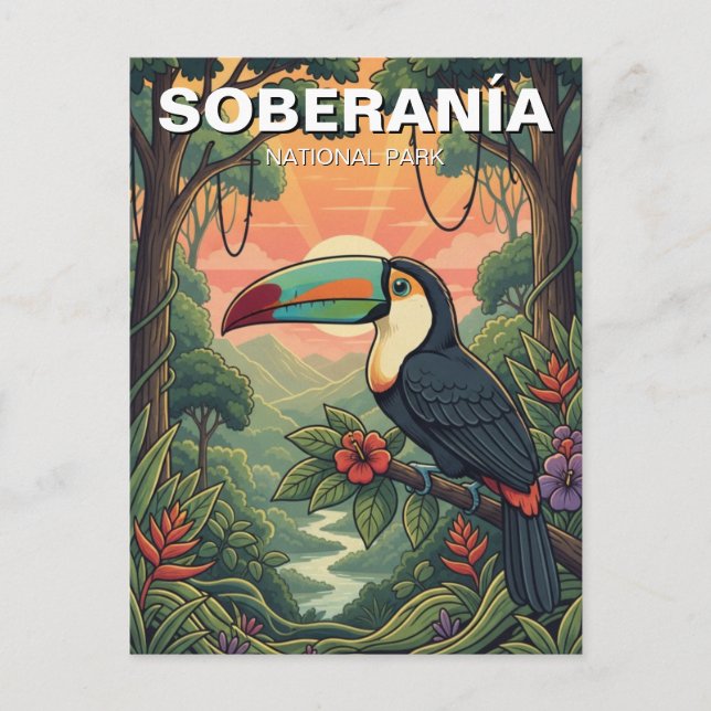 Toucan in Soberania National Park Panama  Postcard (Front)