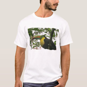 Toucan in the Jungle T-Shirt