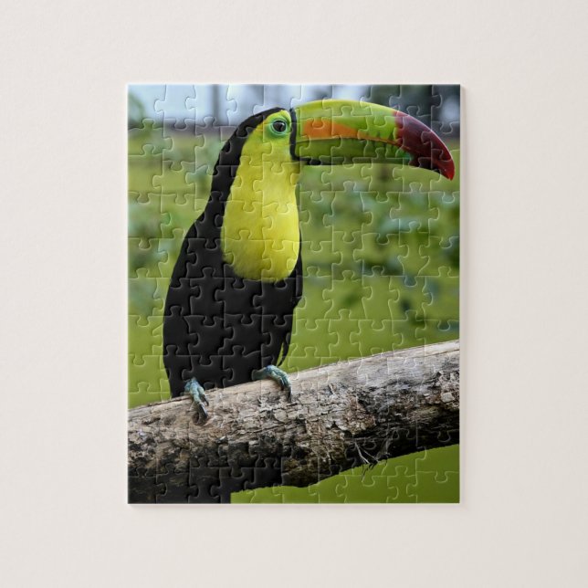 TOUCAN jigsaw puzzle (Vertical)