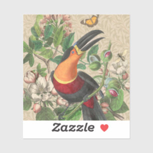 Toucan Jungle Tropical Bird Beautiful Antique