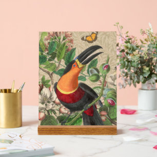 Toucan Jungle Tropical Bird Beautiful Antique Acrylic Sign