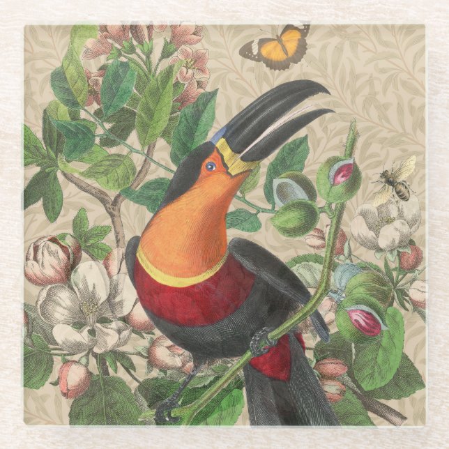 Toucan Jungle Tropical Bird Beautiful Antique Glass Coaster (Front)