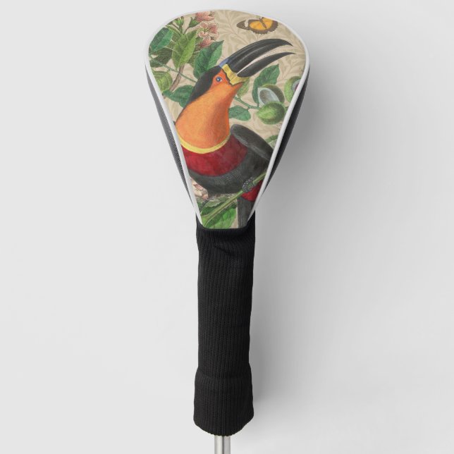 Toucan Jungle Tropical Bird Beautiful Antique Golf Head Cover (Front)
