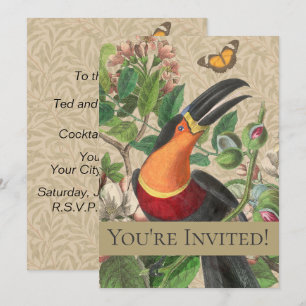 Toucan Jungle Tropical Bird Beautiful Antique Invitation