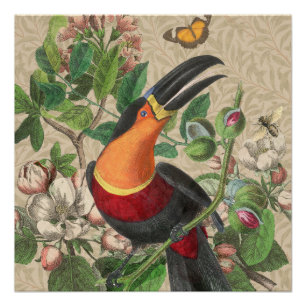 Toucan Jungle Tropical Bird Beautiful Antique Poster