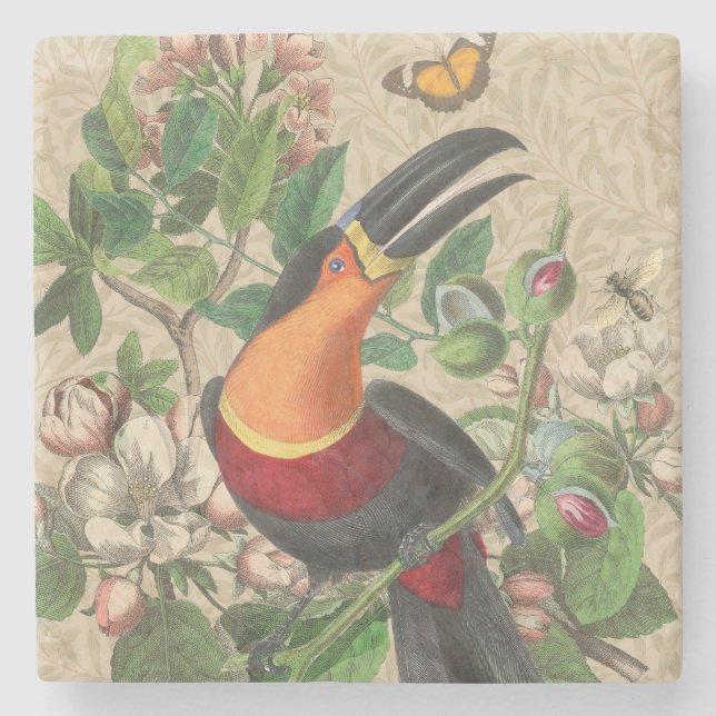 Toucan Jungle Tropical Bird Beautiful Antique Stone Coaster (Front)