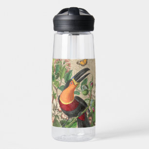 Toucan Jungle Tropical Bird Beautiful Antique Water Bottle