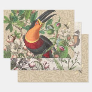 Toucan Jungle Tropical Bird Beautiful Antique Wrapping Paper Sheet