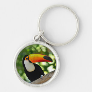 Toucan Key Ring