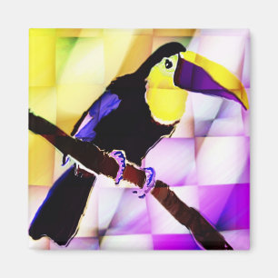 Toucan magnet