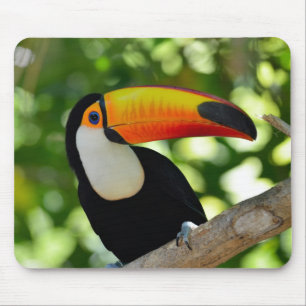 Toucan Mouse Mat