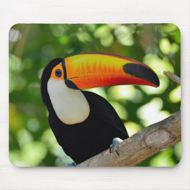 Toucan Mouse Mat (Front)