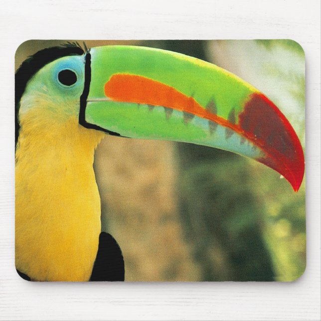 Toucan Mousepad (Front)