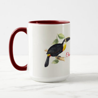 Toucan mug