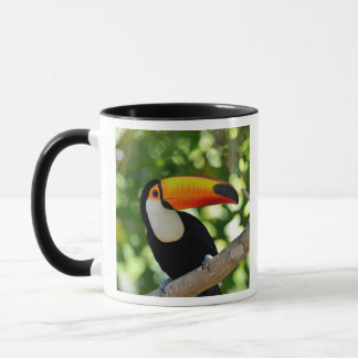 Toucan Mug