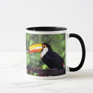 'Toucan' Mug
