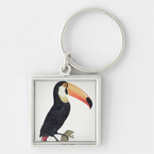 Toucan No.2, from 'History of the Birds of Paradis Key Ring