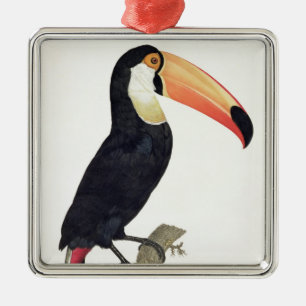 Toucan No.2, from 'History of the Birds of Paradis Metal Tree Decoration