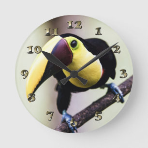 Toucan of Costa Rica Round Clock