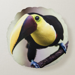 Toucan of Costa Rica Round Cushion