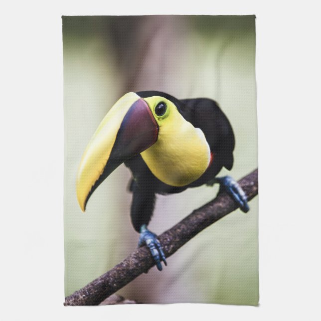 Toucan of Costa Rica Tea Towel (Vertical)