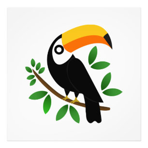 Toucan of the tropical black photo print