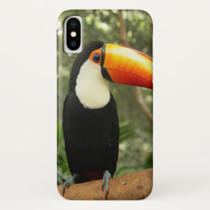 Toucan on tree branch iPhone x case