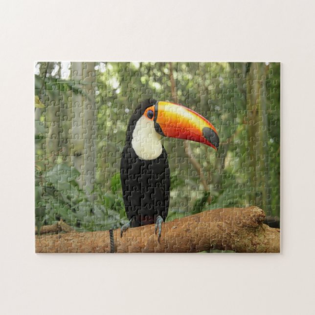 Toucan on tree branch jigsaw puzzle (Horizontal)