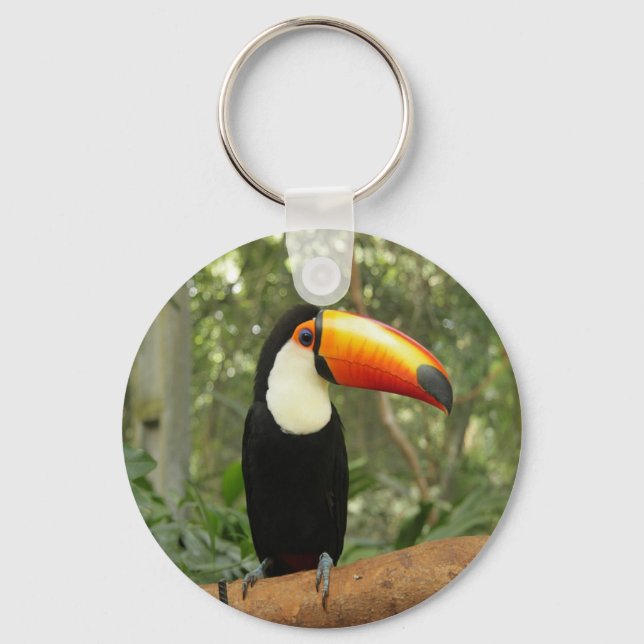 Toucan on tree branch key ring (Front)