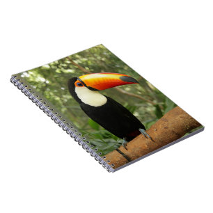 Toucan on tree branch notebook