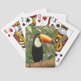 Toucan on tree branch playing cards