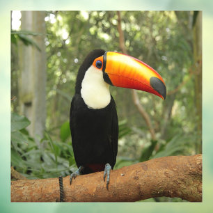 Toucan on tree branch window cling