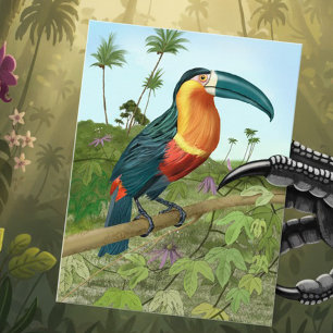 Toucan Painting Postcard