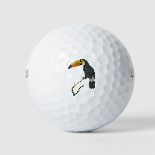 Toucan Portrait Animal Tropical Bird Design Golf Balls (Front)