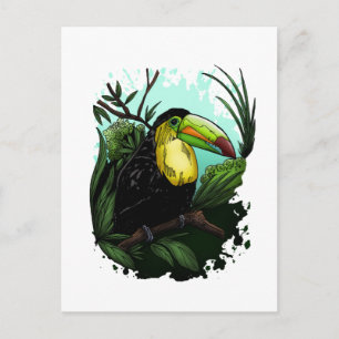 Toucan Postcard
