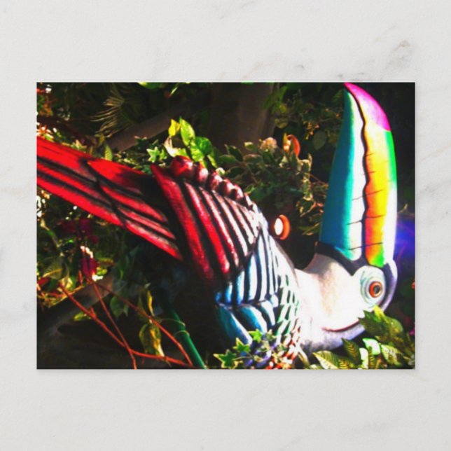 Toucan Postcard (Front)