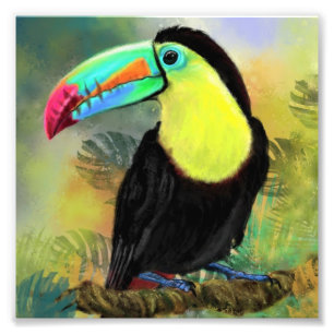 Toucan Poster Print