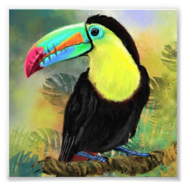 Toucan Poster Print (Front)