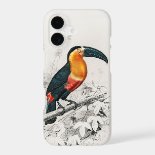 Toucan Ramphastos Illustration Vintage Art Print