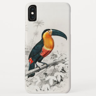 Toucan Ramphastos Illustration Vintage Art Print iPhone XS Max Case