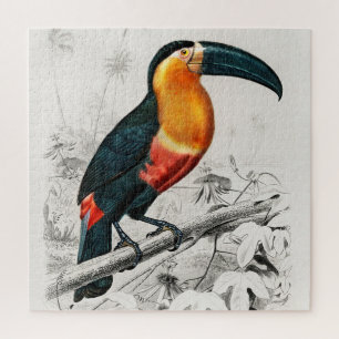 Toucan Ramphastos Illustration Vintage Art Print Jigsaw Puzzle