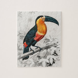 Toucan Ramphastos Illustration Vintage Art Print Jigsaw Puzzle