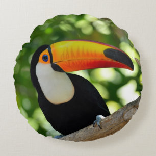 Toucan Round Cushion